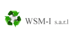 WSMI