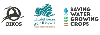 Shoufcedar
