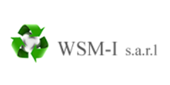 wsmi